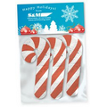 Set of 3 Seeded Paper Candy Canes